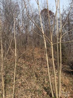00 Yancey Road