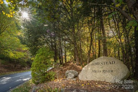 99999 Shining Rock Path