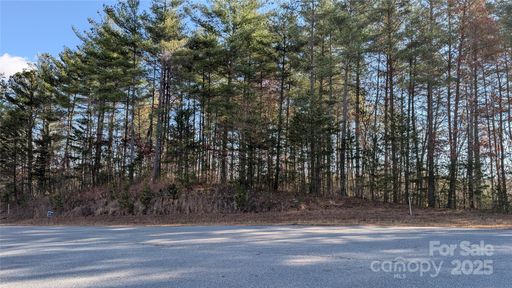 1111 Table View Drive active home in Old Oaks Estates, Morganton, NC