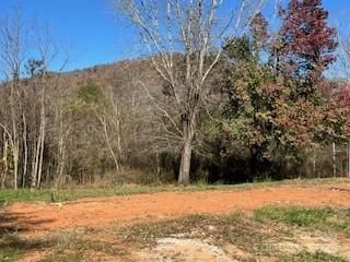 418 Owl Hollow Road