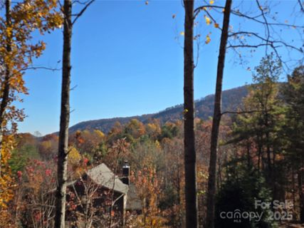 295 S Feather Falls Trail active home in Catawba Falls Preserve, Black Mountain, NC