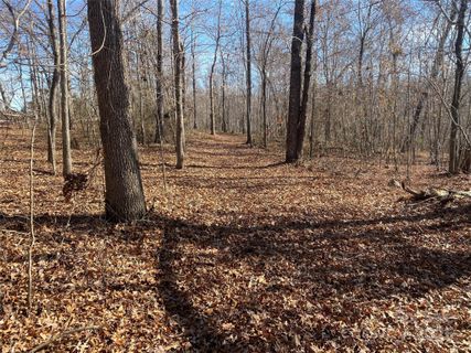 00 Kiser Road
