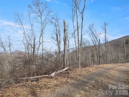 Tbd S Ridge Runner Road active home in The Ridge Tops Of Hawks Nest, Burnsville, NC