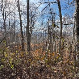 50 Scenic Wolf Ridge Road