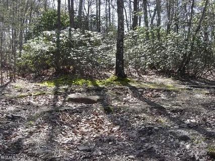 91 Old Forge Drive