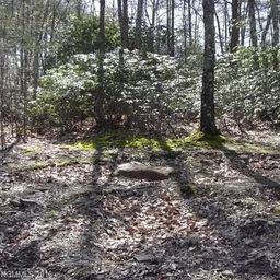 91 Old Forge Drive