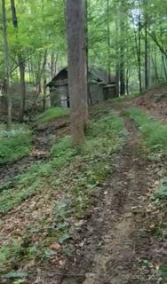 295 Bennett Branch Road