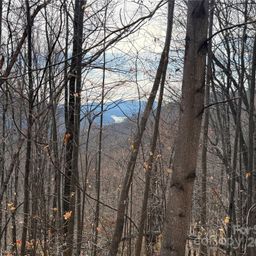 Lot 375 Rolling Ridge Trail