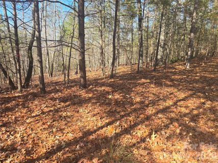 Lot 60 Lake Adger Parkway