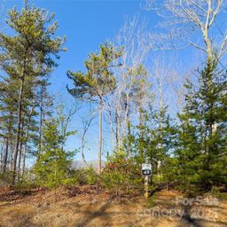 Lot 45 Fox Ridge Trail