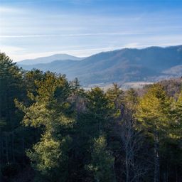 Lot 84 Little Fox Run