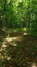 1111 E Clubhouse Road sold home in Sylva, SC