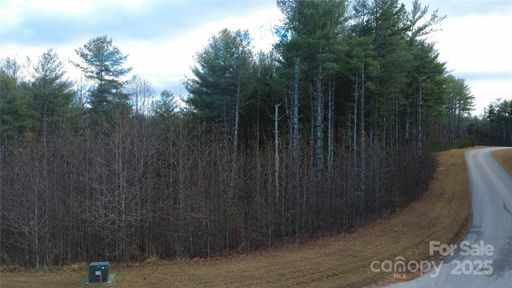 597 Peninsula Reserve Road active home in The Peninsula At Lake James, Nebo, NC