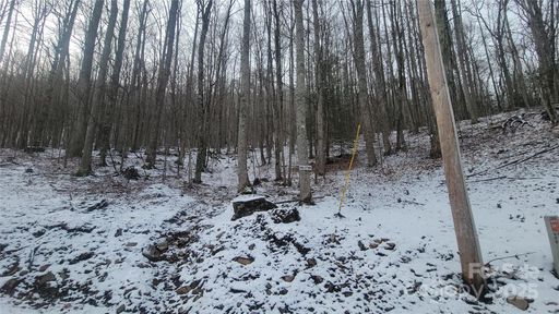 Homes in Celo Mountain Lands, Burnsville