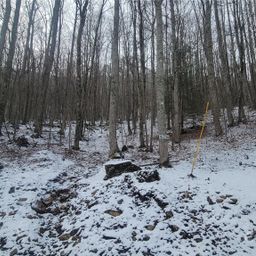 Lot 7b Hickory Springs Road