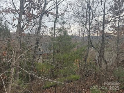 51 Versailles Lane sold home in Thoms Estate, Asheville, NC
