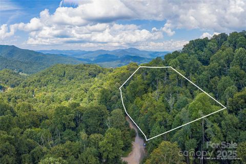 00 Pitch Fork Cove active home in Cataloochee Mountain Estates, Waynesville, NC