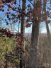 0 Brighton Drive sold home in Bostic, SC