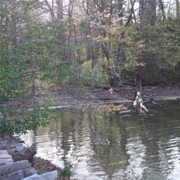 Lot 16 Lake Front Drive