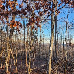 69 Adirondack Lane