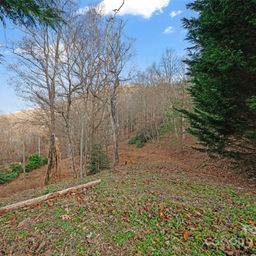 99999 Flora Rose Trail