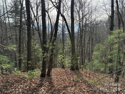 Tbd Buck Mountain Road active home in Buck Mountain, Purlear, NC