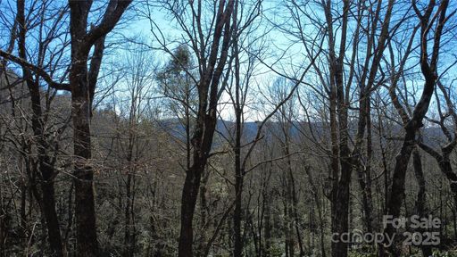 Lot 26 Big Branch Road active home in Big Hill, Brevard, NC