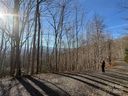 22 23 28 Brer Rabbit Trail sold home in Waynesville, SC