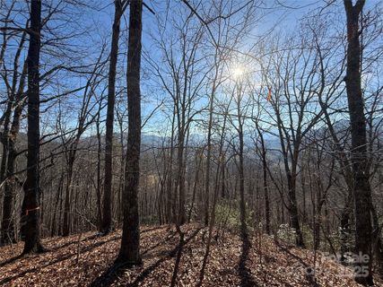 Homes in Rabbits Ridge, Waynesville