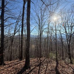 Lot 12 Bernies Trail