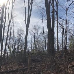 000 Marshall Ridge Road