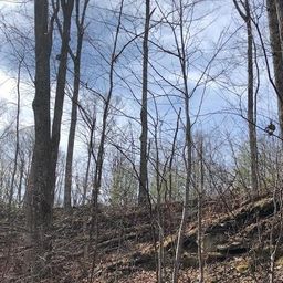 000 Marshall Ridge Road