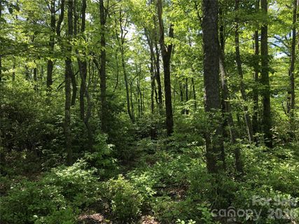 0 Millard Crossing