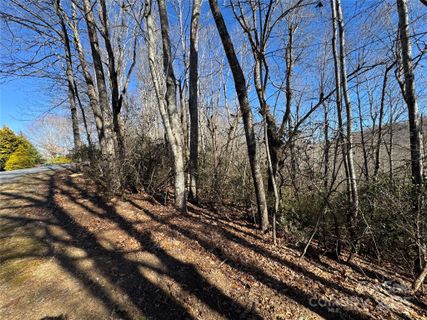 Lot 19 Udoque Court active home in Connestee Falls, Brevard, NC