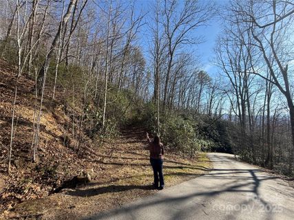 Lot 27 Bernies Trail active home in Rabbits Ridge, Waynesville, NC