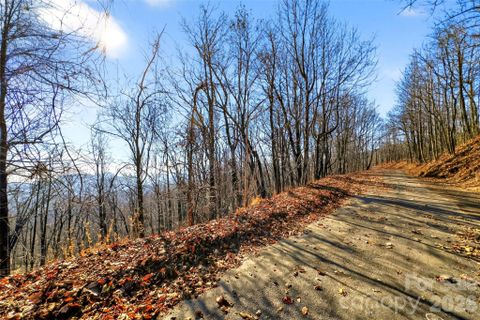 100 Wolf Pen Road active home in Gateway Mountain, Old Fort, NC