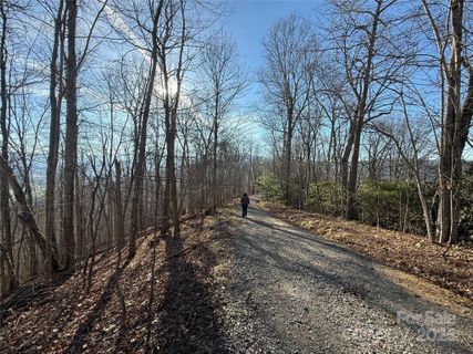 Lot 21 Brer Rabbit Trail