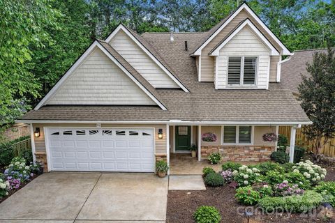 Homes in Bee Tree Village, Swannanoa