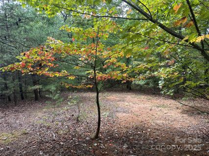 333 Mossy Oak Trail