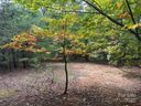 333 Mossy Oak Trail sold home in Nebo, SC