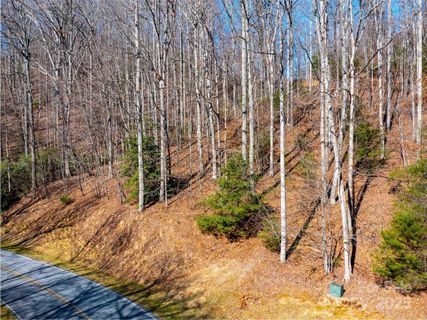 00 Chattooga Run active home in Champion Hills, Hendersonville, NC