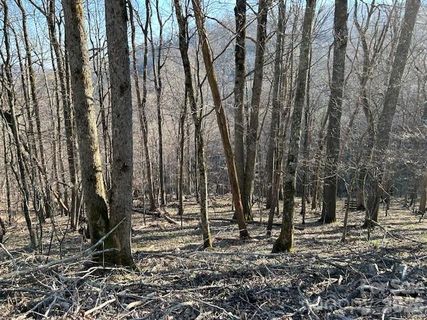 0000 Trillium Lane