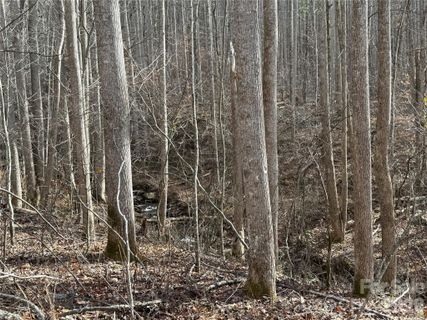 00000 Martins Creek Road