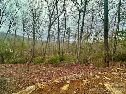 000 Orchard View Trail active home in Highland Falls, Spruce Pine, NC