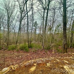 000 Orchard View Trail