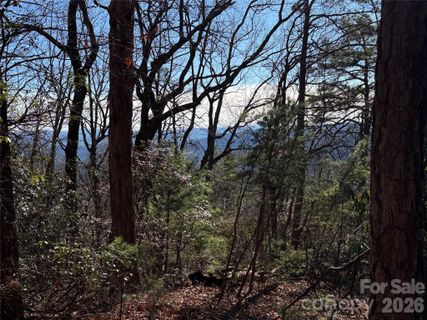 Tbd Bobcat Mountain Road active home in Buck Mountain, Purlear, NC