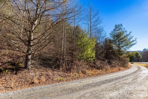 Homes in The Rosalie, Waynesville