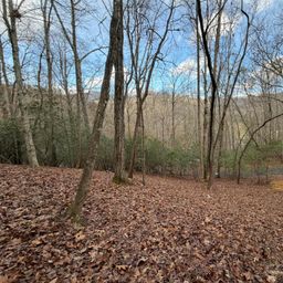 0 Crescent Ridge