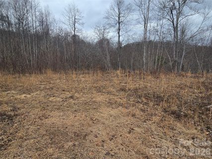 138 Fairlane Loop sold home in Torwood, Whittier, NC