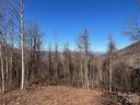 99999 Farm Cove Lane sold home in Leicester, SC